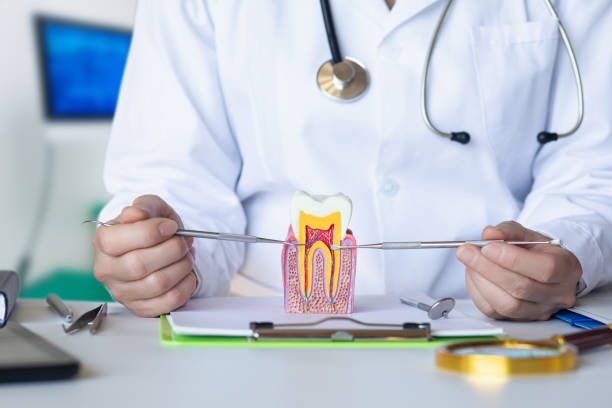 Best Emergency Root Canal Therapy in Port Aransas, TX